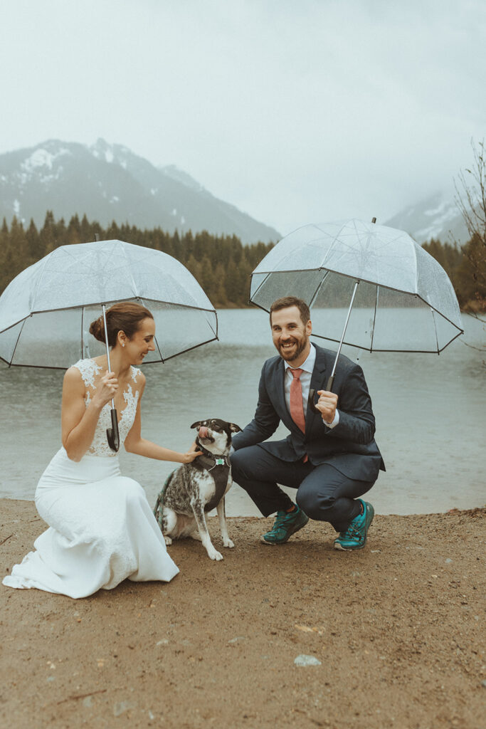 picture of the bride and groom with their dog at their elopement in washington