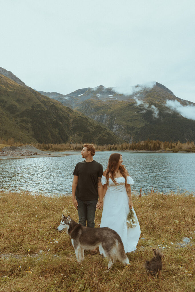 picture of the newly engaged couple with their dogs 