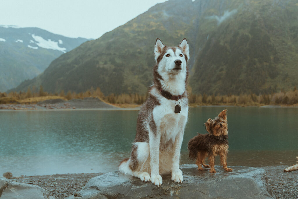 Whimsical Engagement Session at Portage Lake, AK